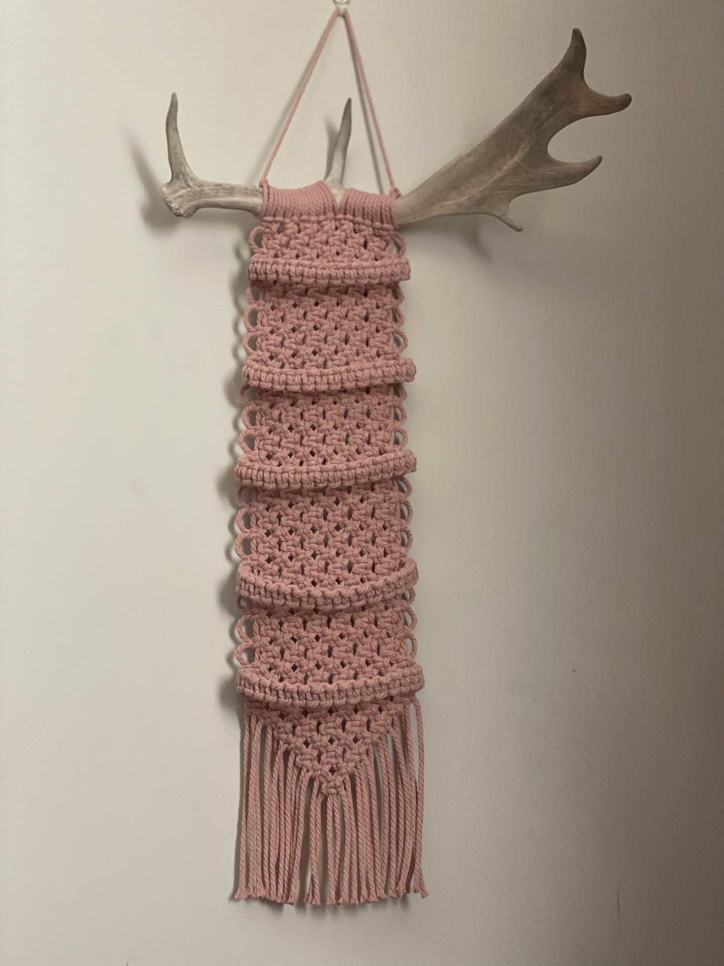 Macramé real antler 5 cap hanger!