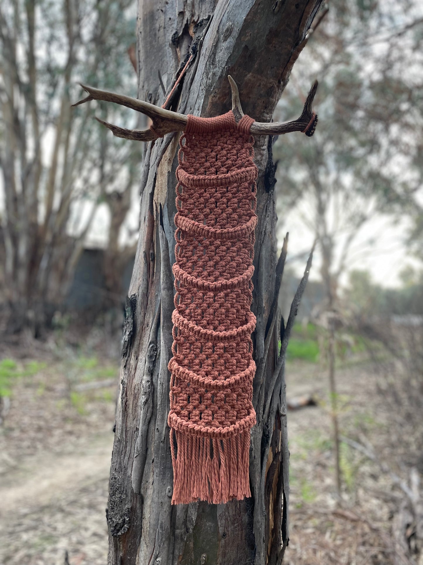 Deer antler 6 cap macrame hanger